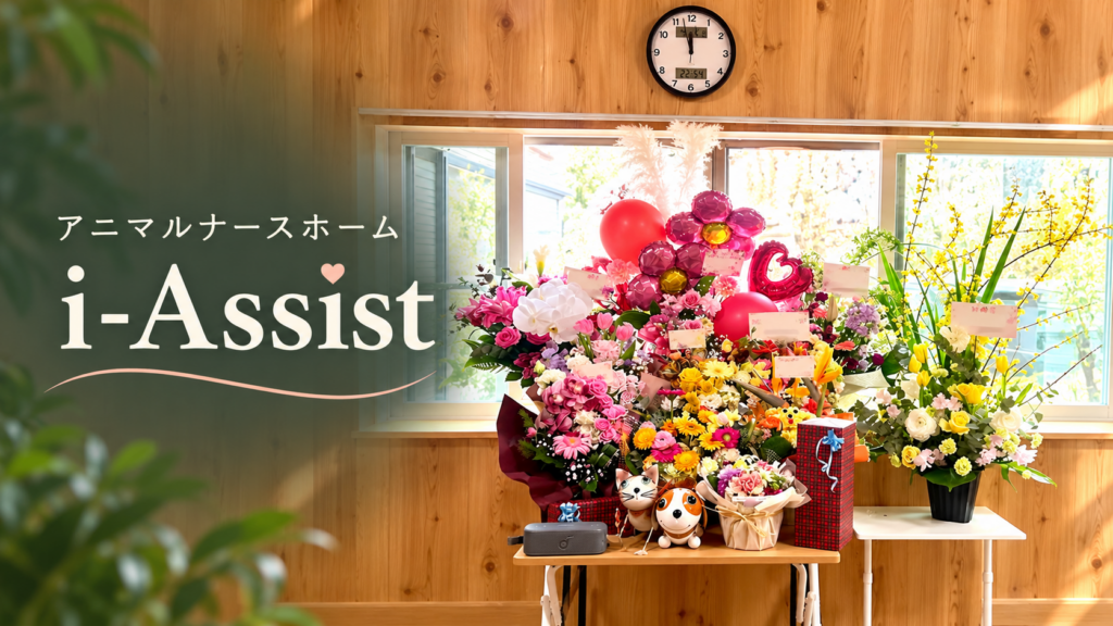アニマルナースホーム i あしすと
のイメージ画像です